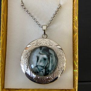 Horse locket